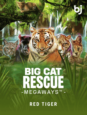 Big Cat Rescue Megaways™ thumbnail